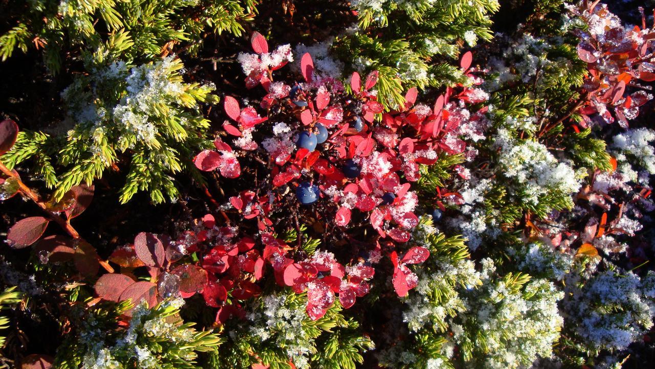 Nordic Natura Garthur 外观 照片
